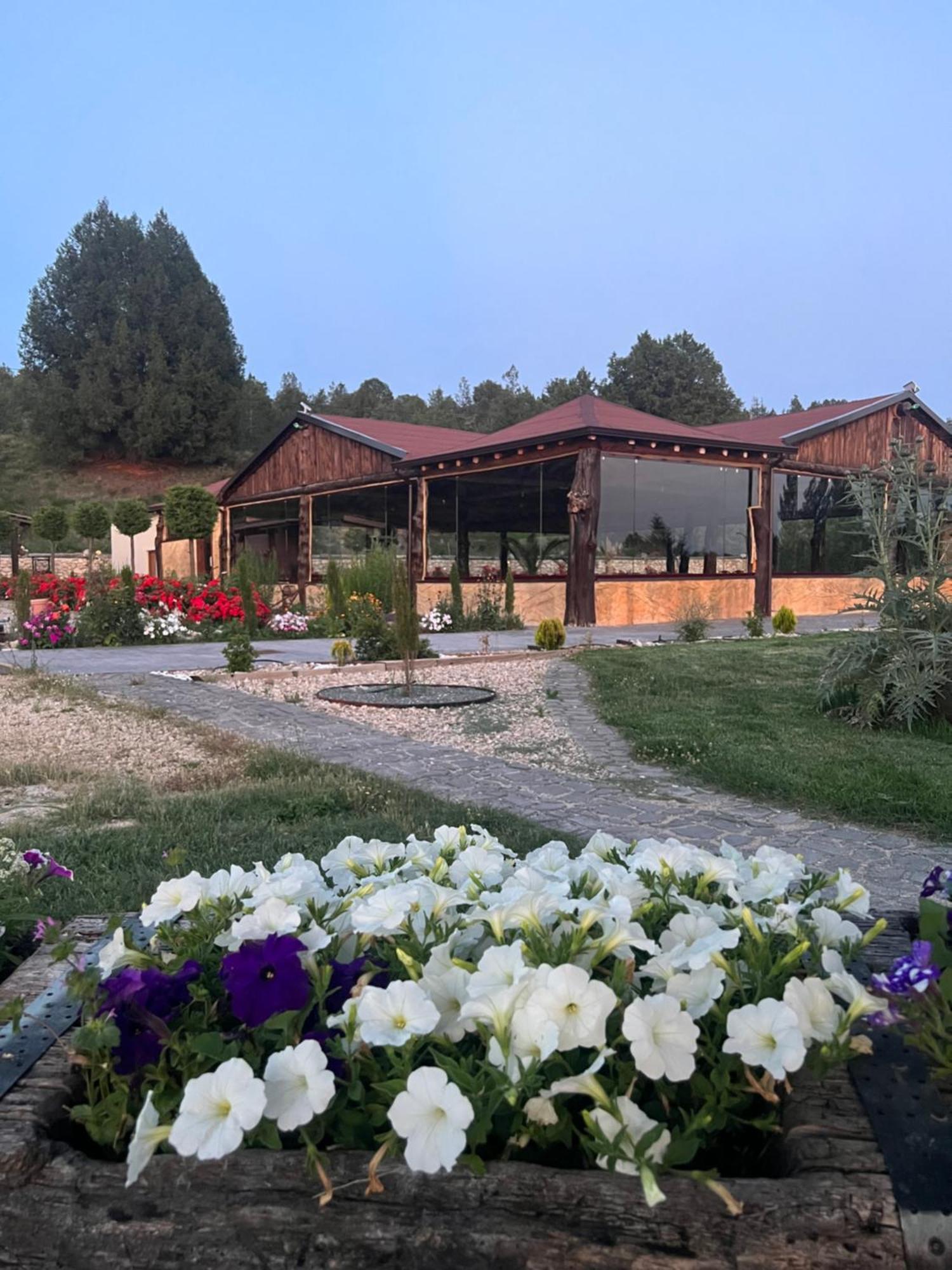 El Burgo De Osma Alojamiento Rural Villa Bagh Exterior photo